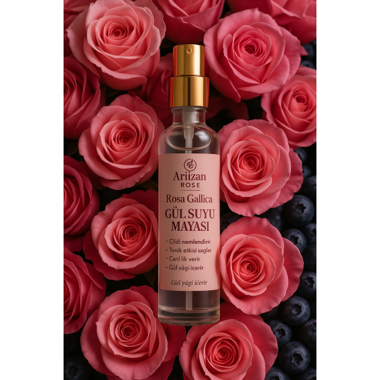Rosa Gallica Gül suyu Mayası 