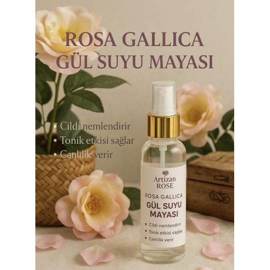 Rosa Gallica Gül suyu Mayası 