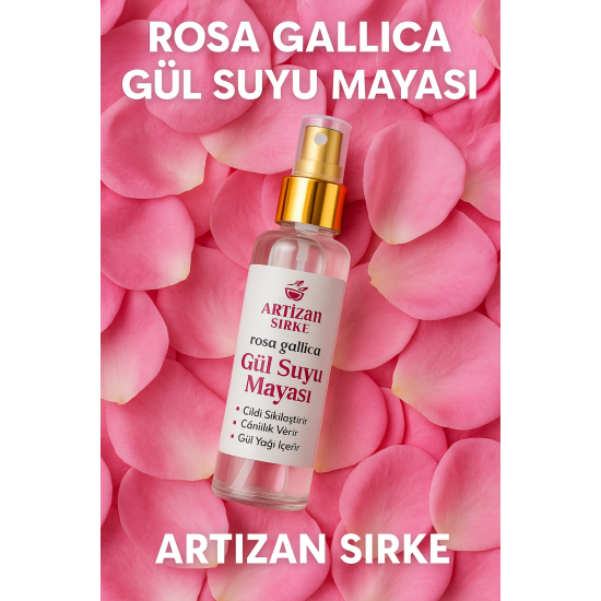Rosa Gallica Gül suyu Mayası 
