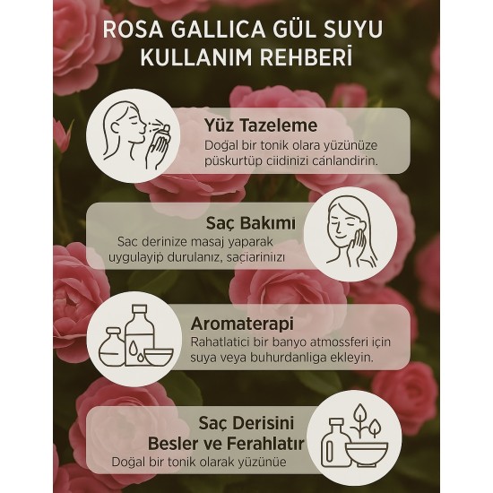 Rosa Gallica Gül suyu Mayası 