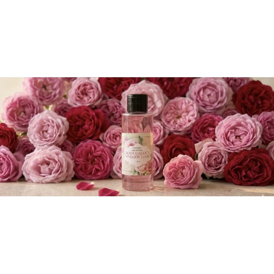Rosa gallica sirkeli tonik 